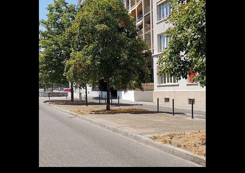 01 &copy;© SEVE - Ville de Genève
