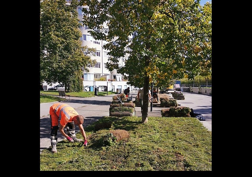 04 &copy;© SEVE - Ville de Genève
