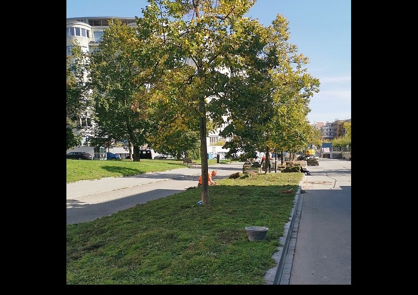 04 &copy;© SEVE - Ville de Genève
