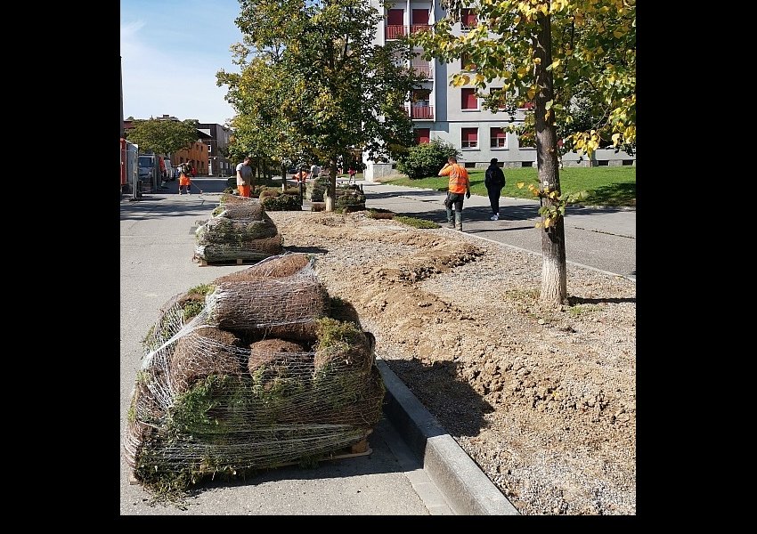 02 &copy;© SEVE - Ville de Genève
