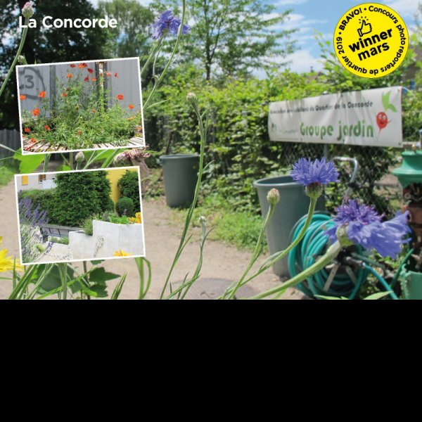 Jardin collectifs ©Muriel Ernandes